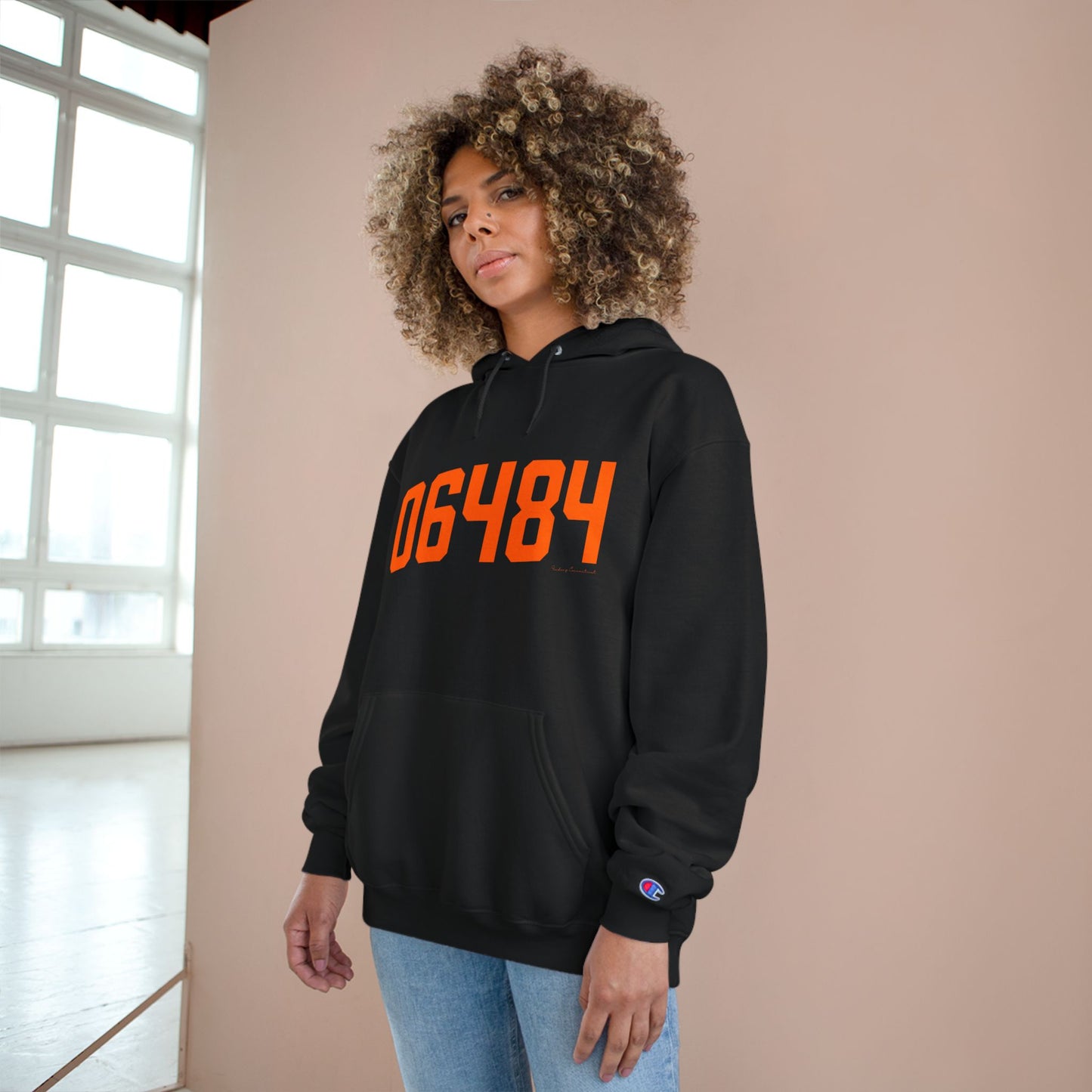 06484 Shelton Connecticut Zip Code Champion Hoodie Sweatshirt