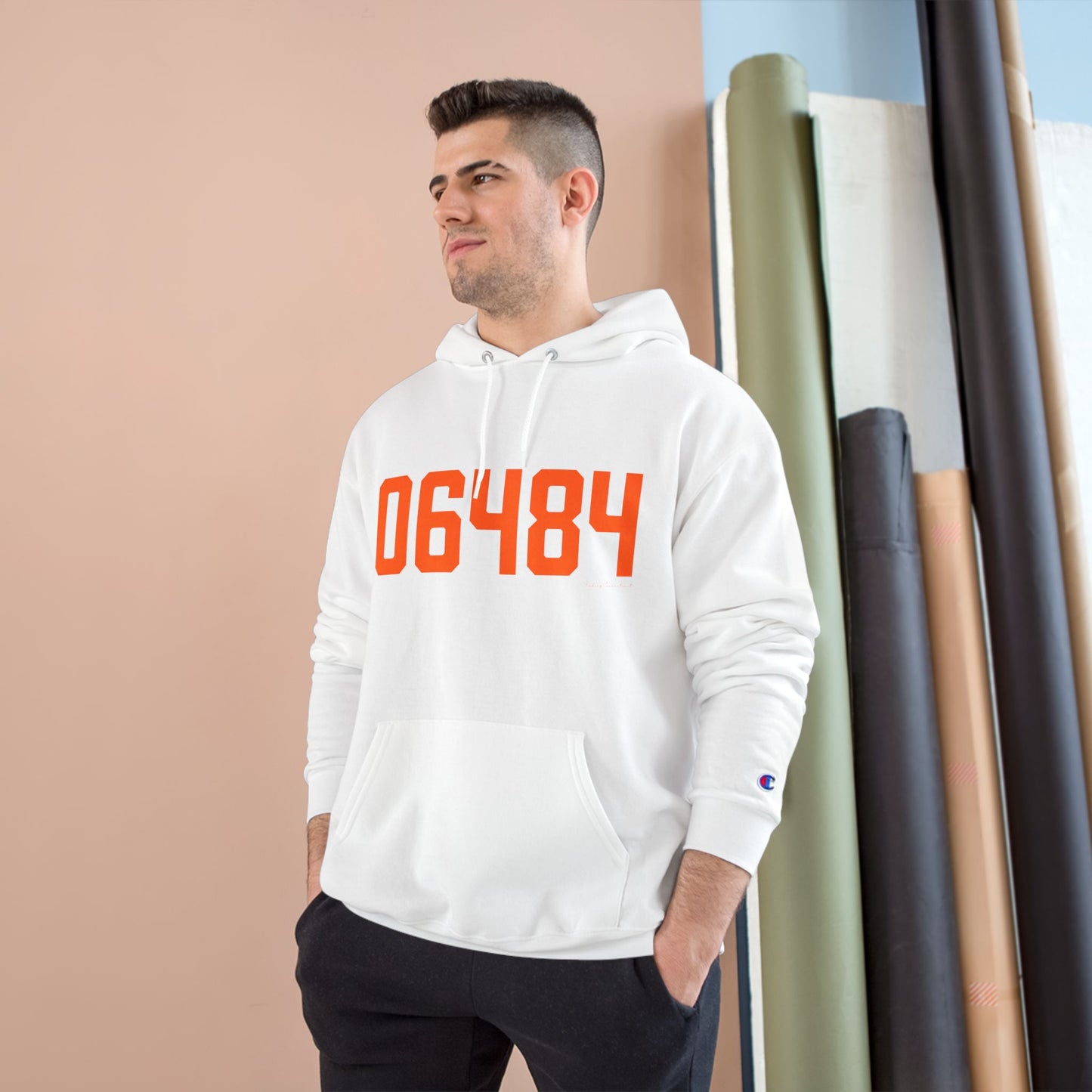 06484 Shelton Connecticut Zip Code Champion Hoodie Sweatshirt