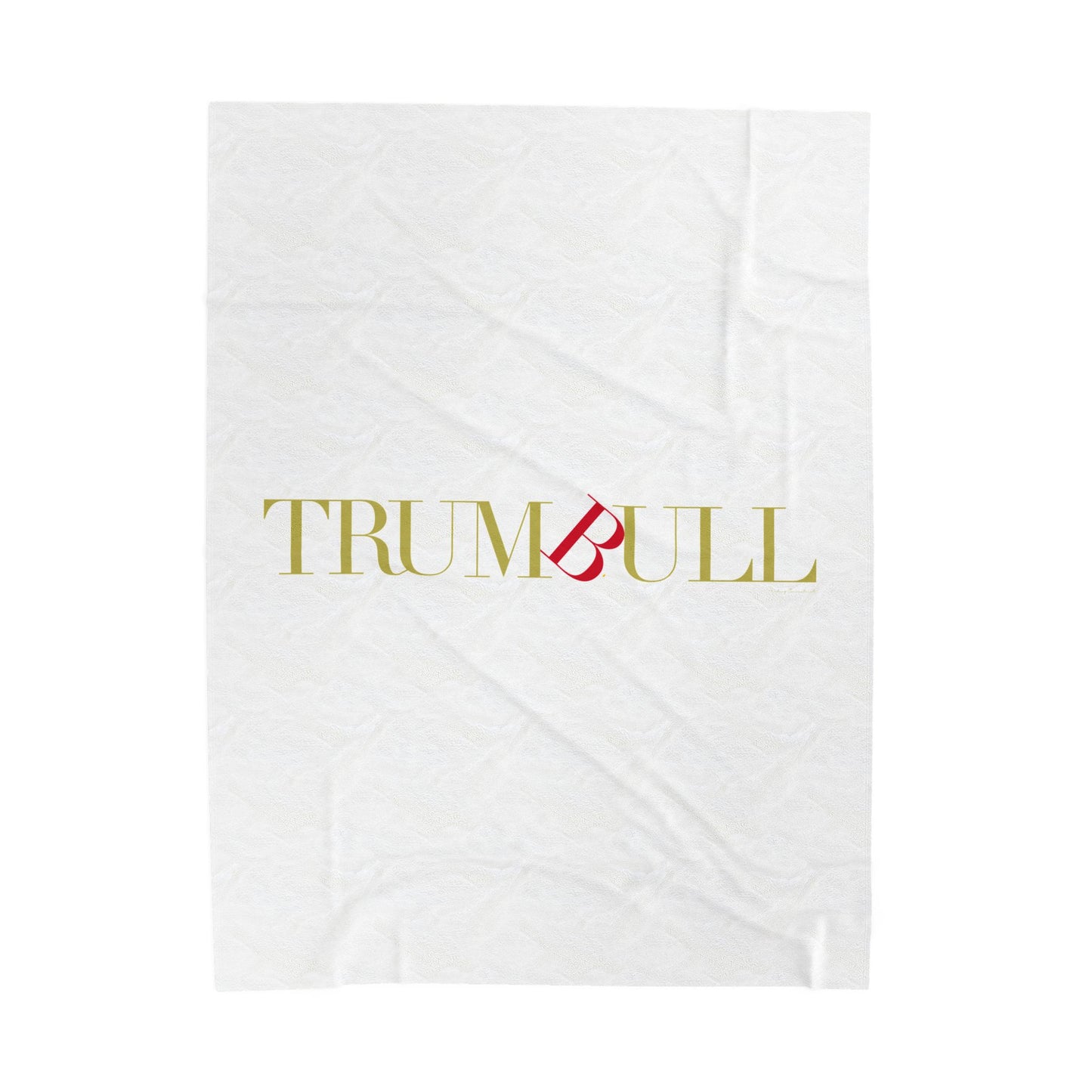 41 Tilt Trumbull Velveteen Plush Blanket