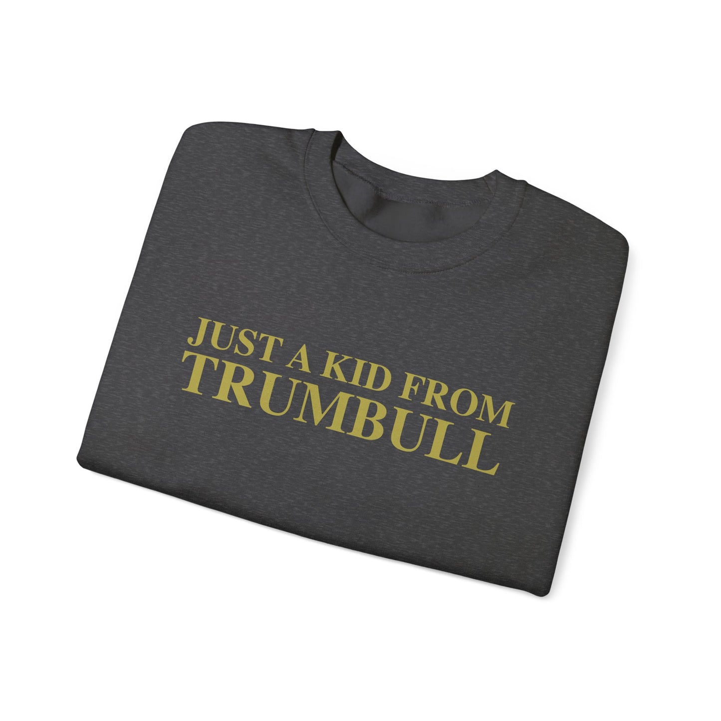 Just a kid from Trumbull Unisex Heavy Blend™ Crewneck Sweatshirt