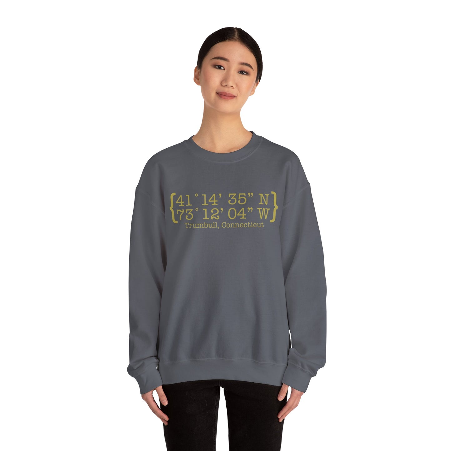 Trumbull Coordinates Unisex Heavy Blend™ Crewneck Sweatshirt