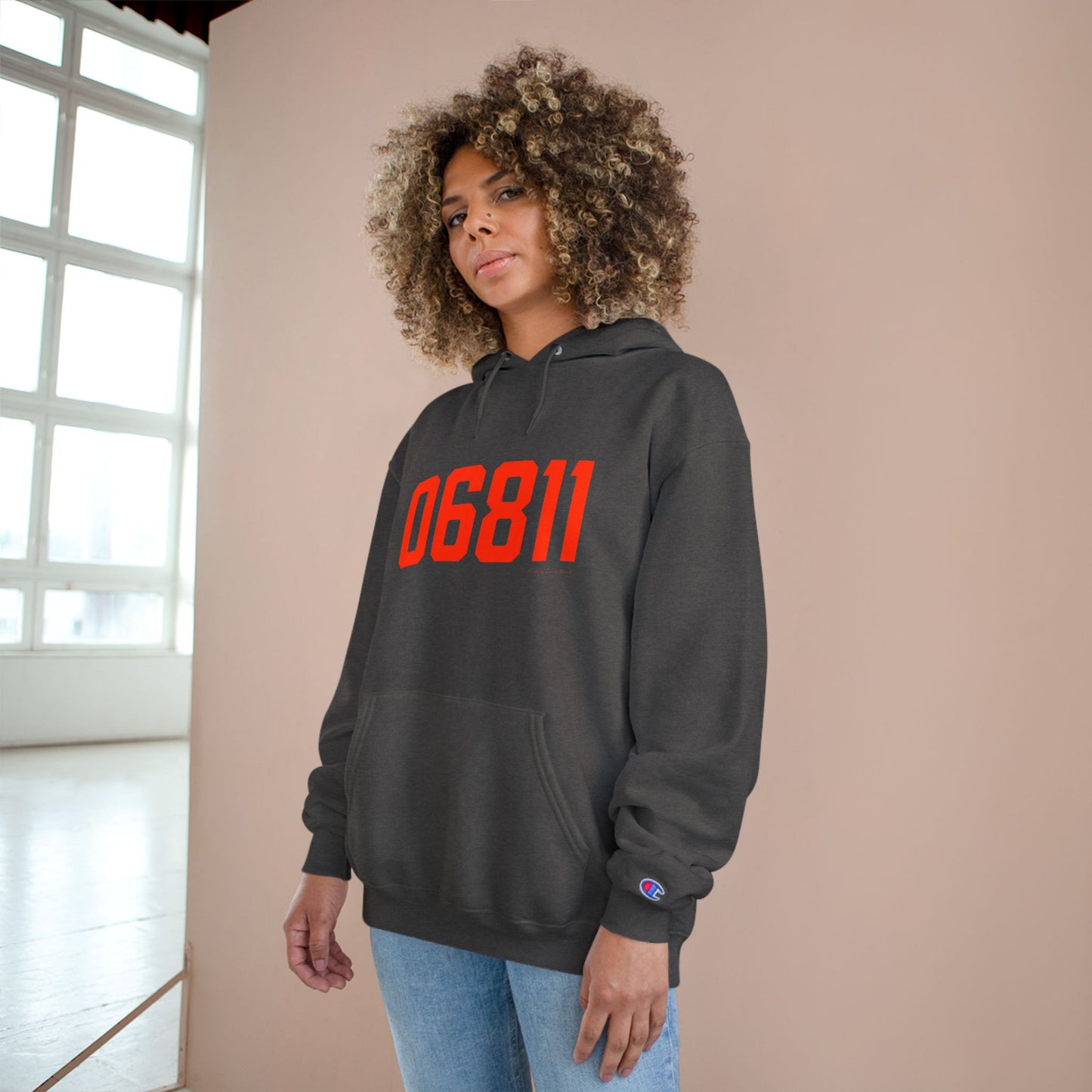 06811 Danbury Connecticut Zip Code Champion Hoodie Sweatshirt