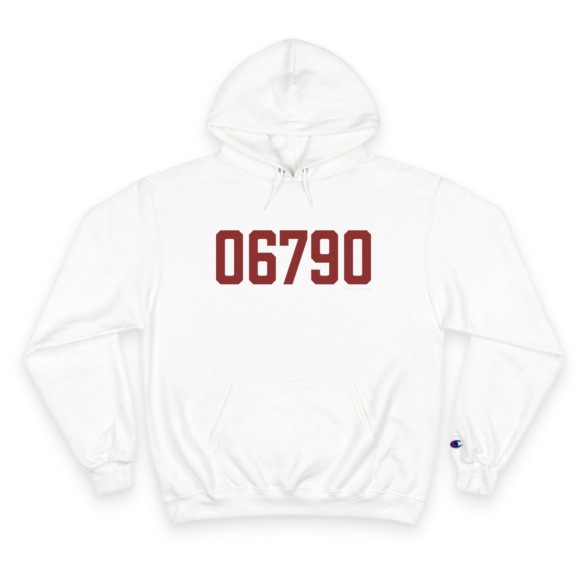 06790 Torrington Connecticut Zip Code Champion Hoodie