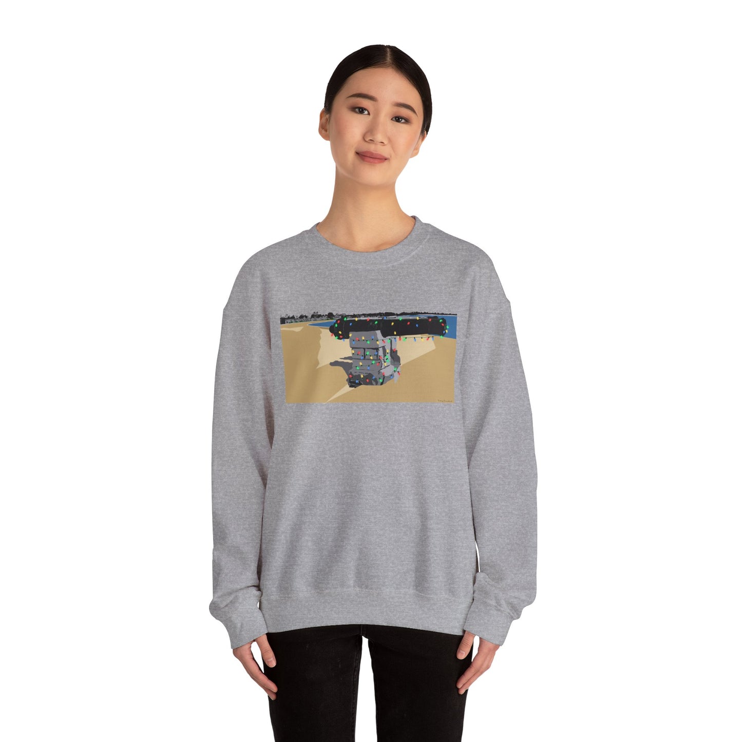 Compo Cannon Lights Unisex Heavy Blend™ Crewneck Sweatshirt