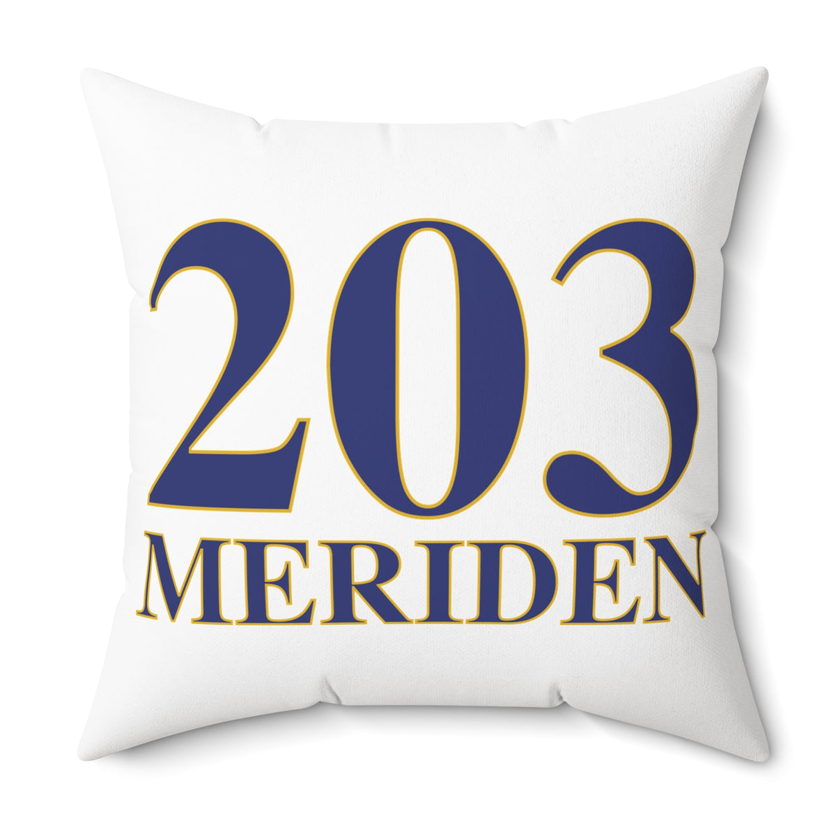 203 Meriden Polyester Square Pillow