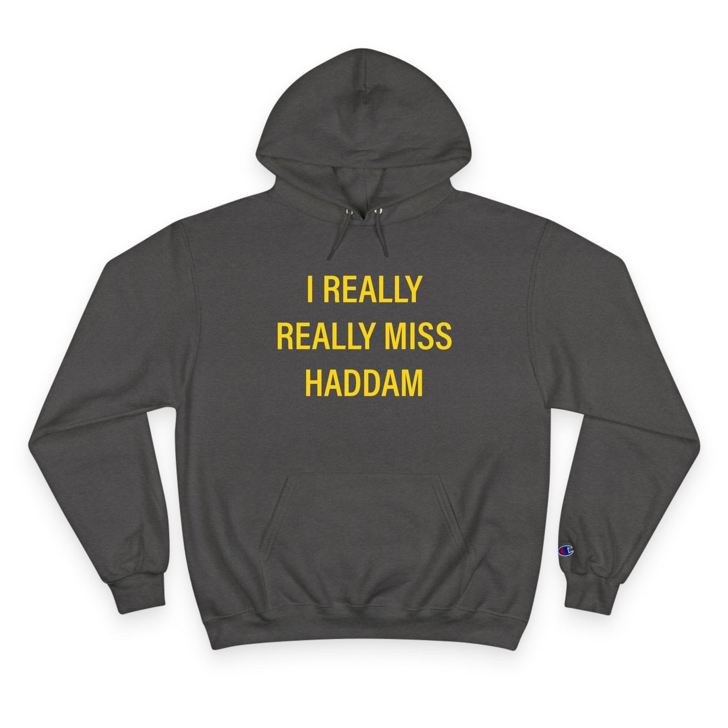 I Really Really Miss Haddam Champion Hoodie