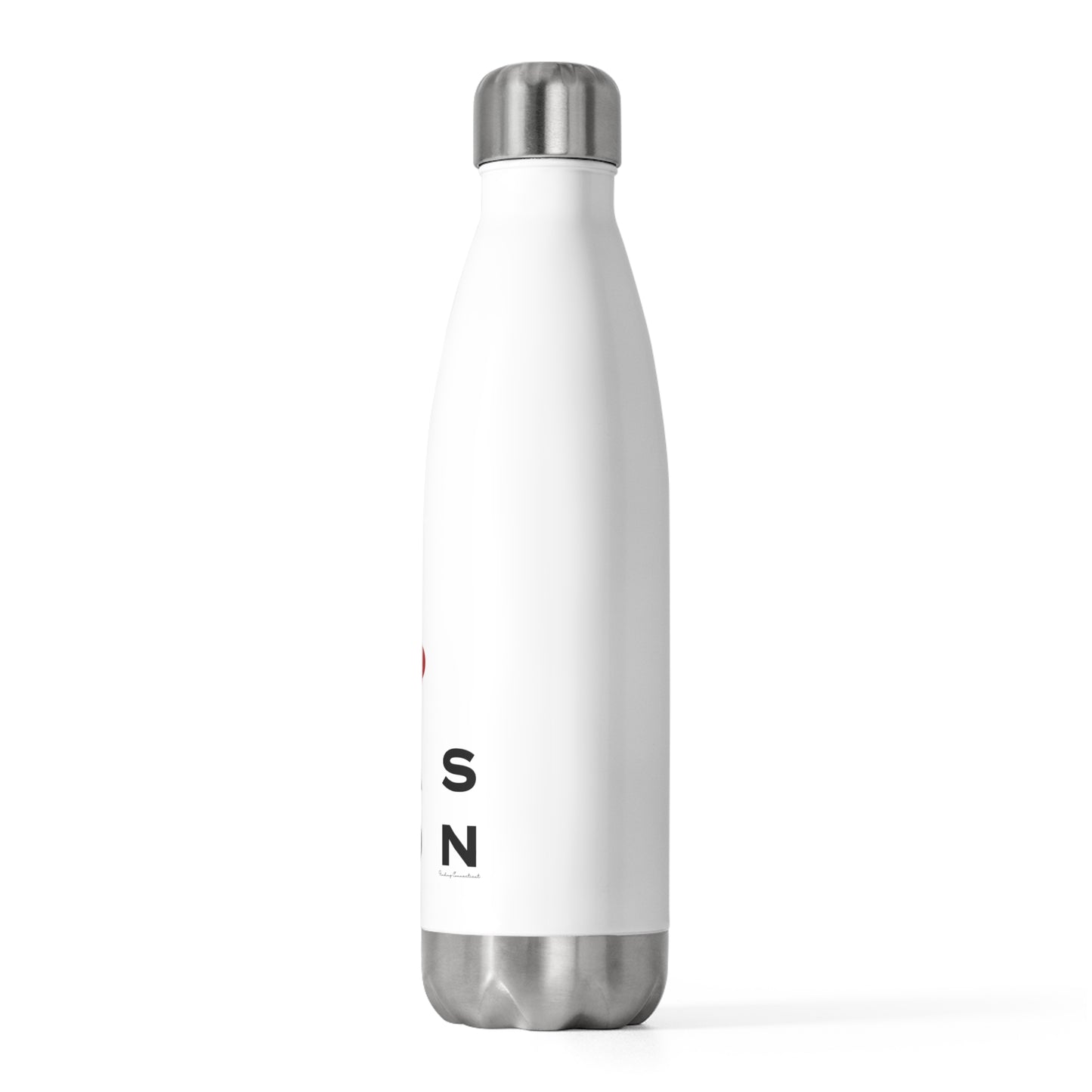 Easton Vision 20oz Insulated Bottle
