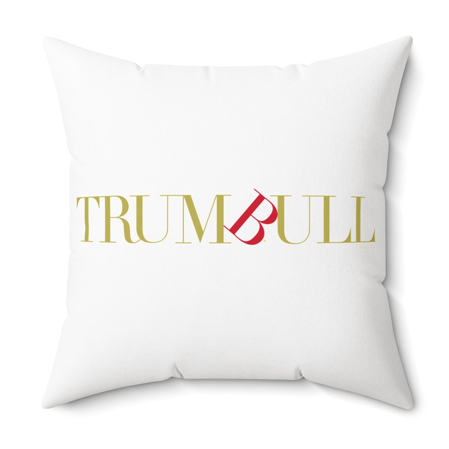 41 Tilt Trumbull Spun Polyester Square Pillow
