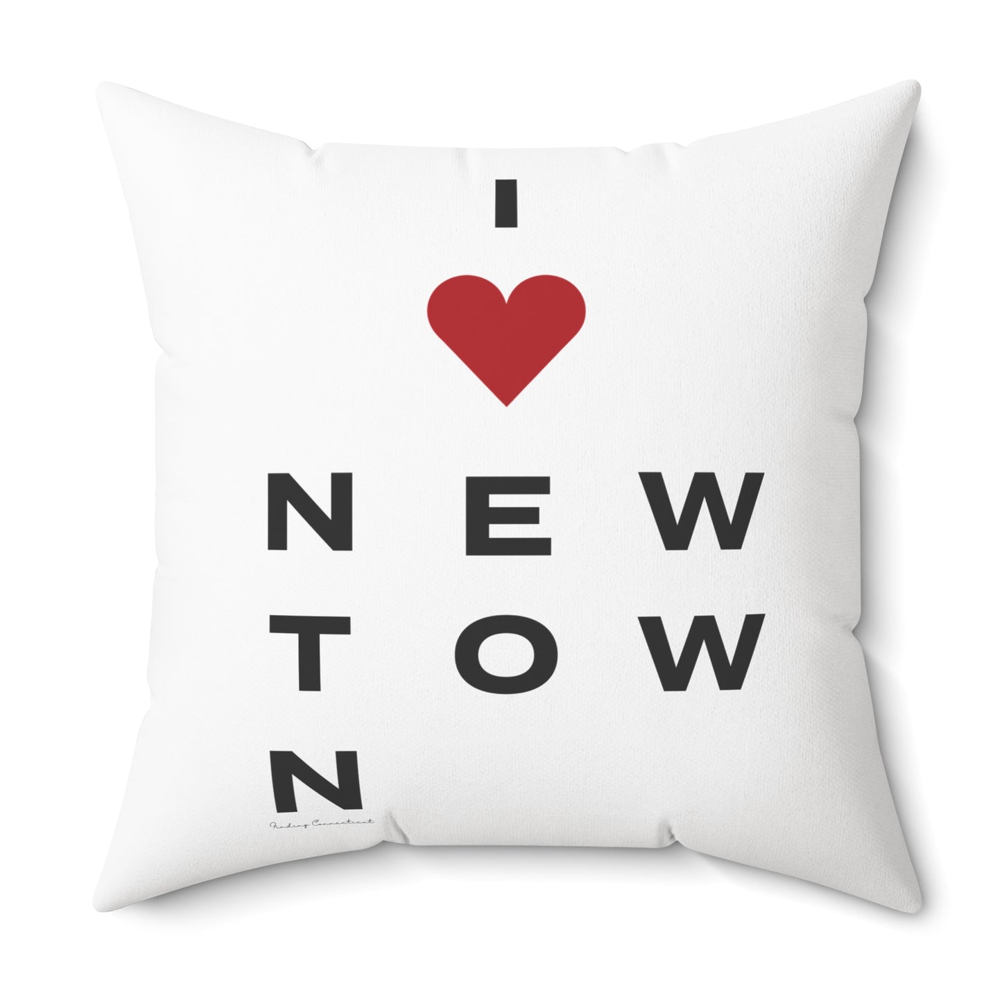 Newtown Vision Spun Polyester Square Pillow