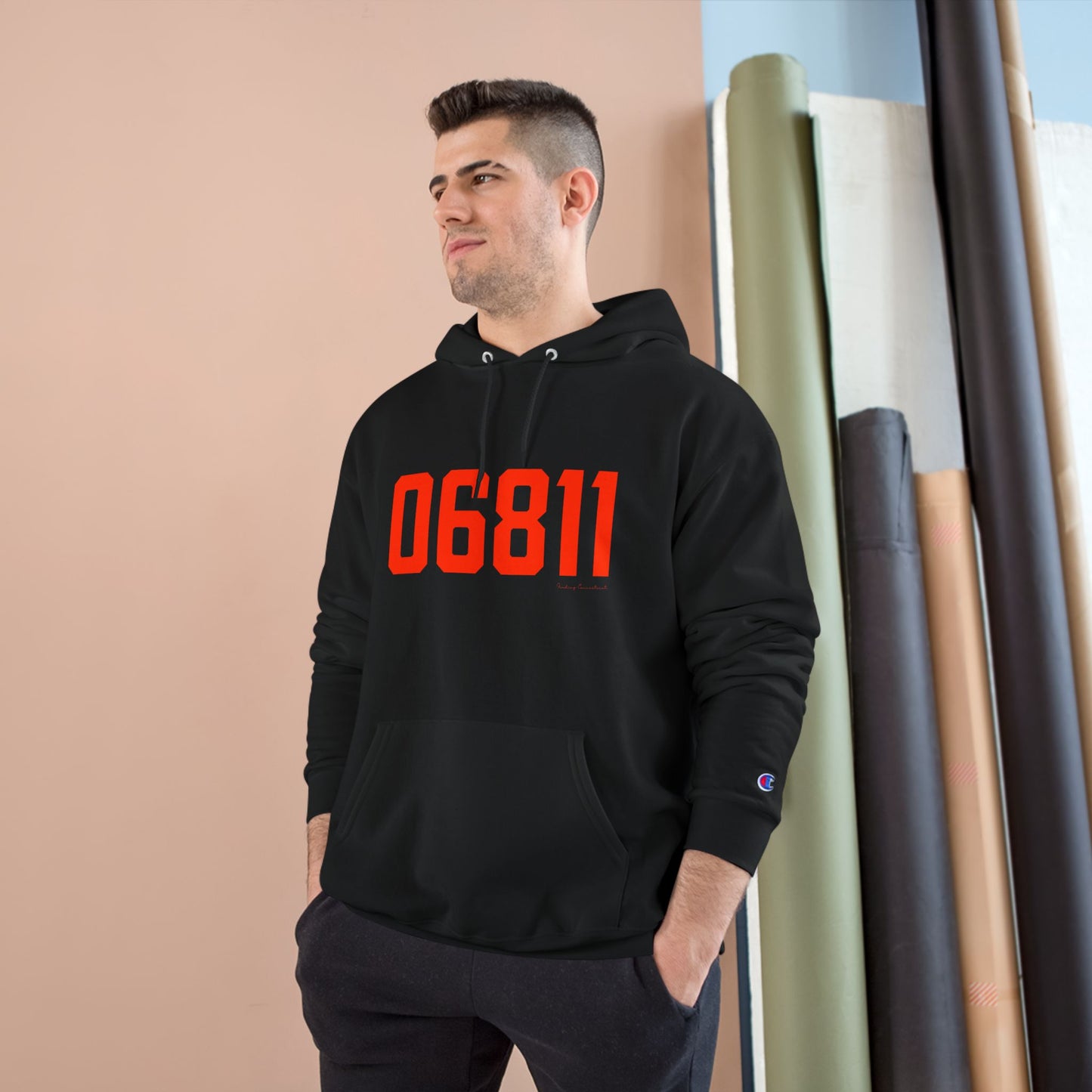 06811 Danbury Connecticut Zip Code Champion Hoodie Sweatshirt