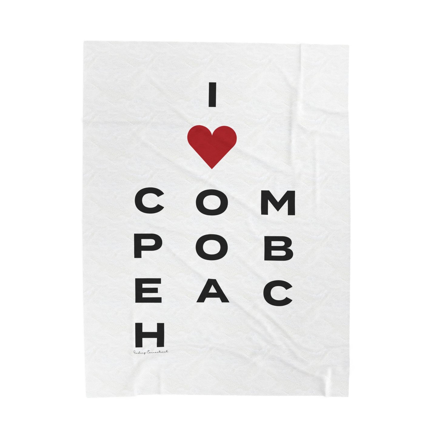 Compo Beach Vision // Compo Beach westport Connecticut blanket // Westport Connecticut gifts and merch // finding connecticut