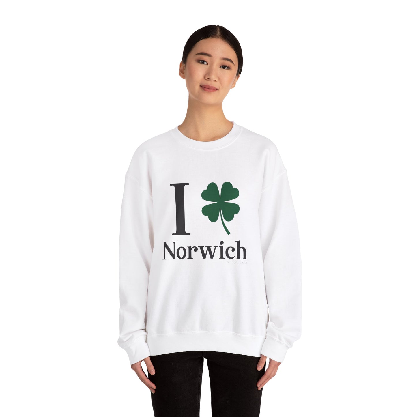 I Clover Norwich // Norwich CT unisex sweatshirt // finding connecticut