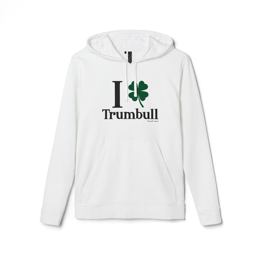 I Clover Trumbull // Trumbull ct st Patrick's day Adidas hoodie sweatshirt  /// finding Connecticut