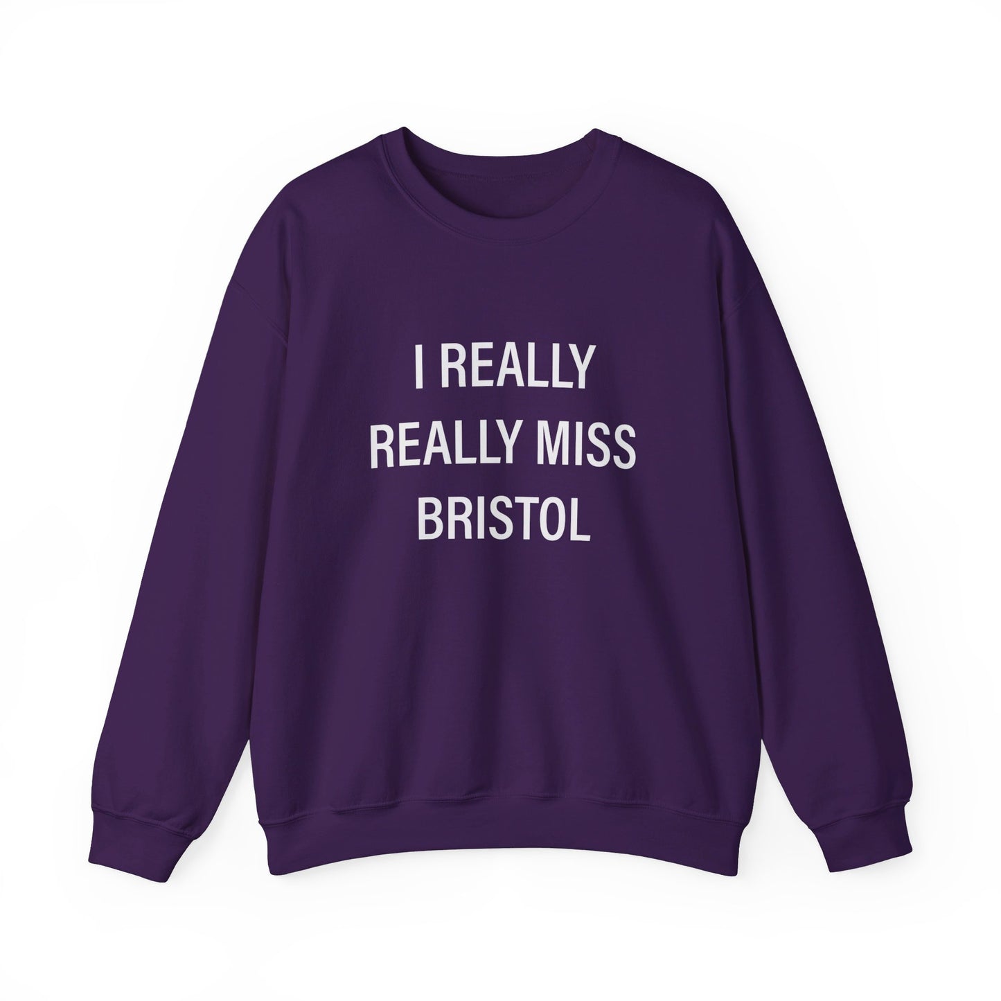 I Really Really Miss Bristol // Bristol CT sweatshirt / finding connecticut