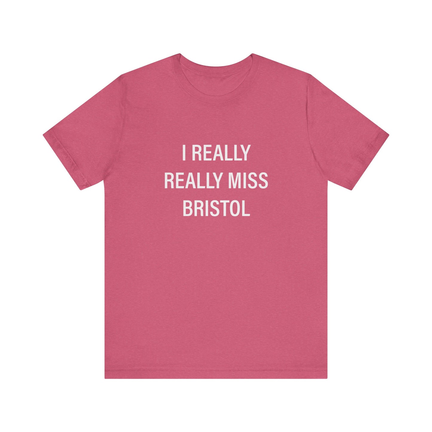 I Really Really Miss Bristol // Bristol CT t shirt/ finding connecticut