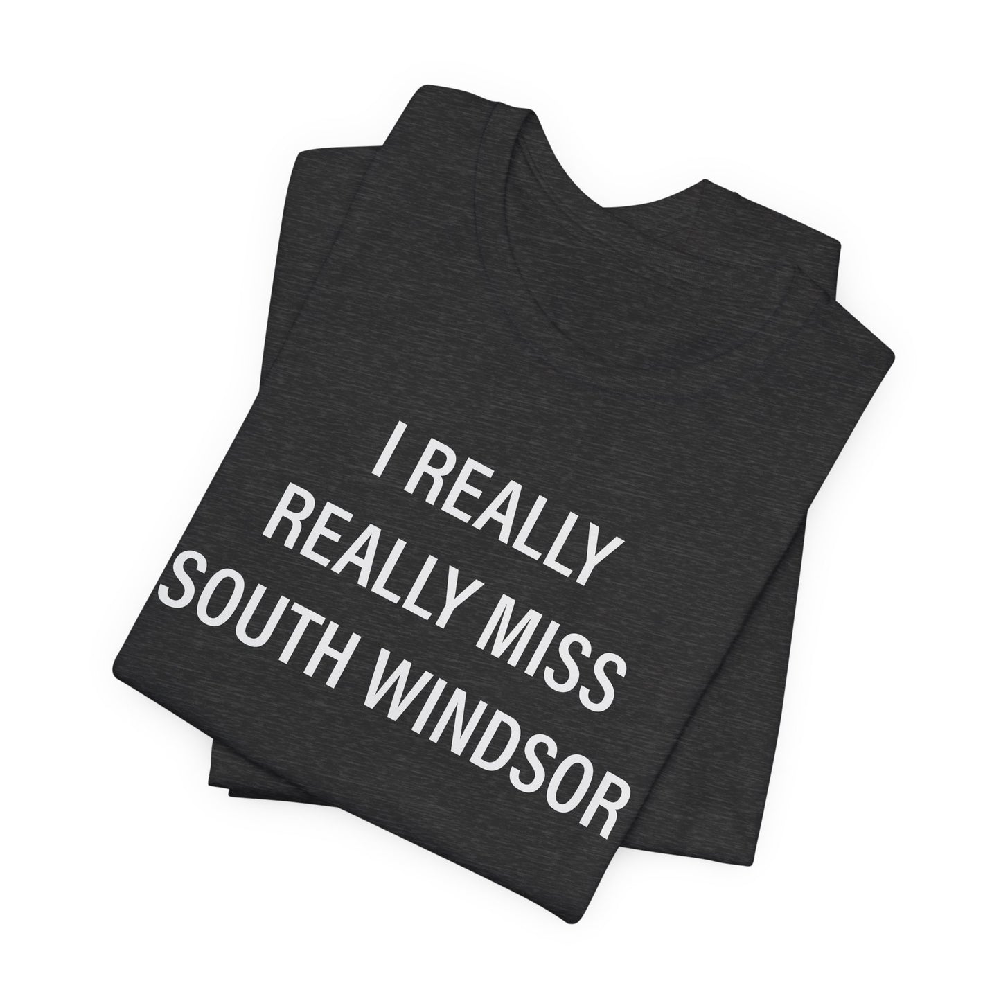 I Really Really Miss South Windsor // South Windsor CT unisex t shirt // finding connecticut