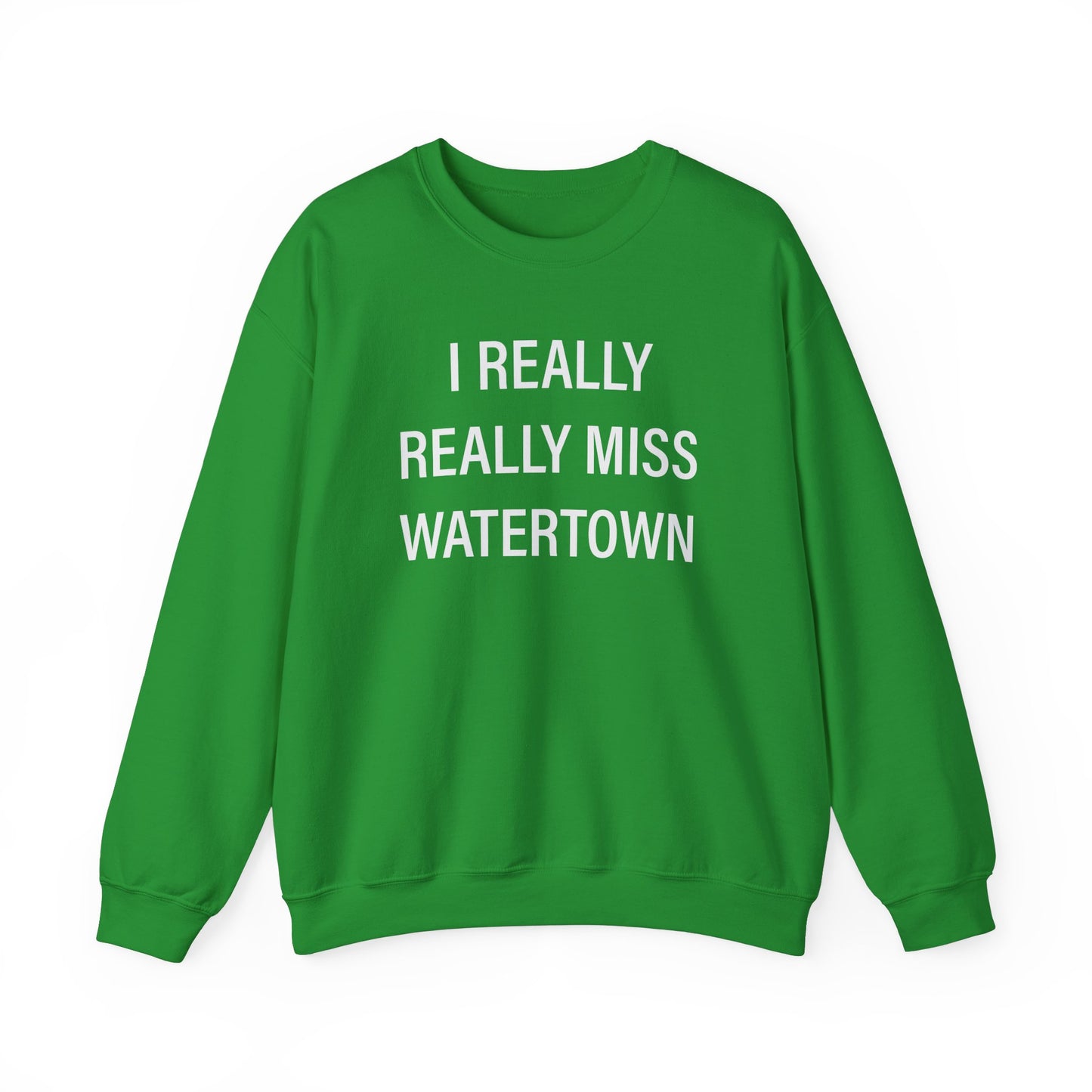 I Really Really Miss Watertown // watertown CT unisex sweatshirt // Finding Connecticut