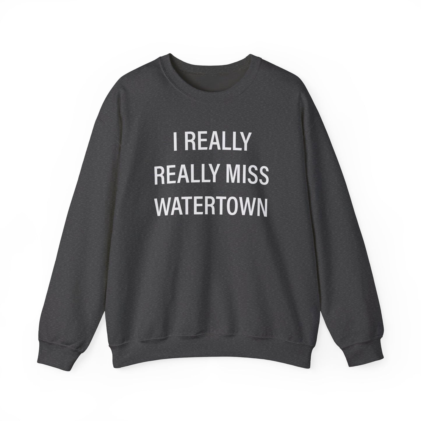 I Really Really Miss Watertown // watertown CT unisex sweatshirt // Finding Connecticut