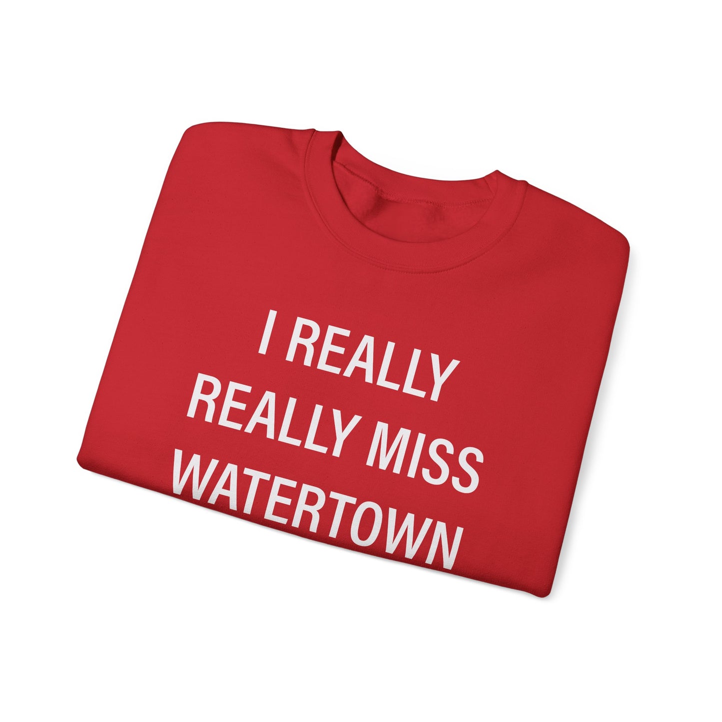 I Really Really Miss Watertown // watertown CT unisex sweatshirt // Finding Connecticut