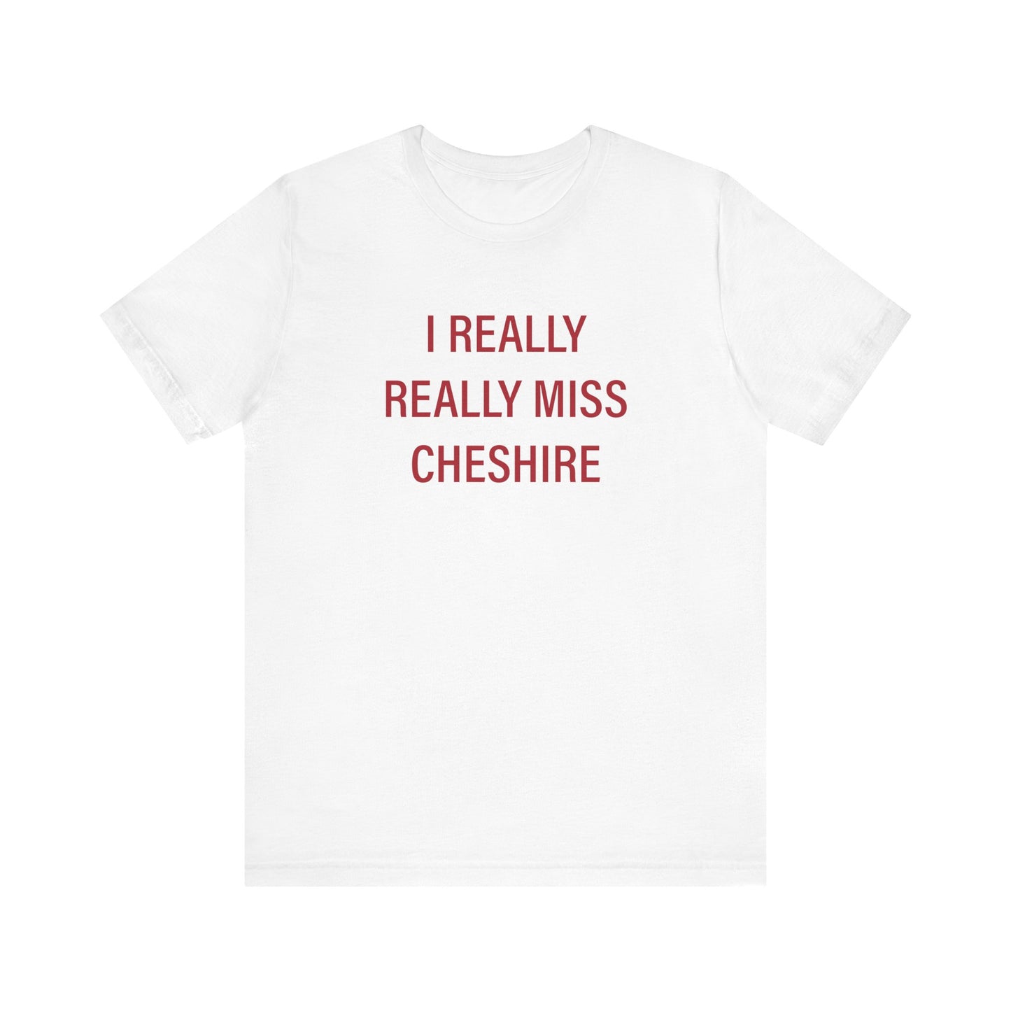 I Really Really miss Cheshire // cheshire connecticut t shirt // finding connecticut