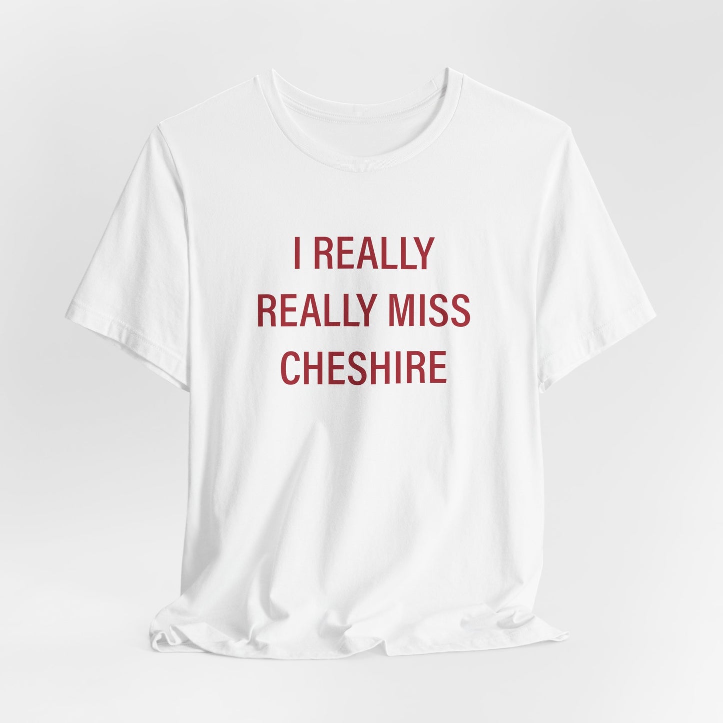 I Really Really miss Cheshire // cheshire connecticut t shirt // finding connecticut