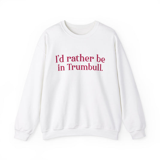 I'd rather be in Trumbull  // Trumbull connecticut sweatshirt  // finding connecticut