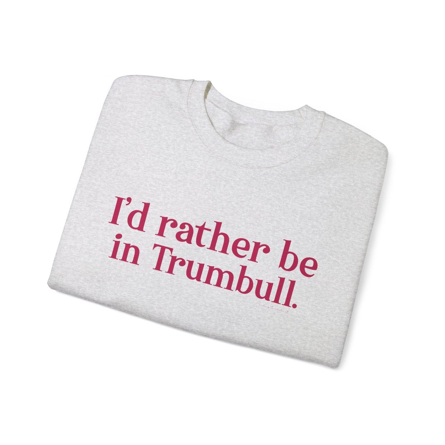 I'd rather be in Trumbull  // Trumbull connecticut sweatshirt  // finding connecticut