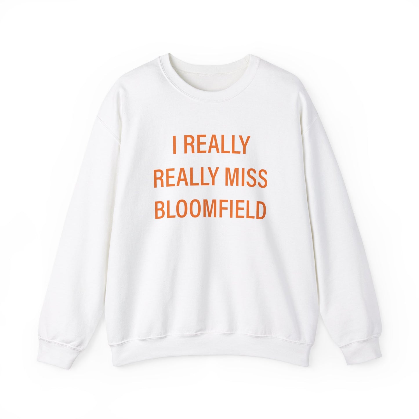 I really really miss bloomfield // bloomfield connecticut unisex sweatshirt // finding connecticut