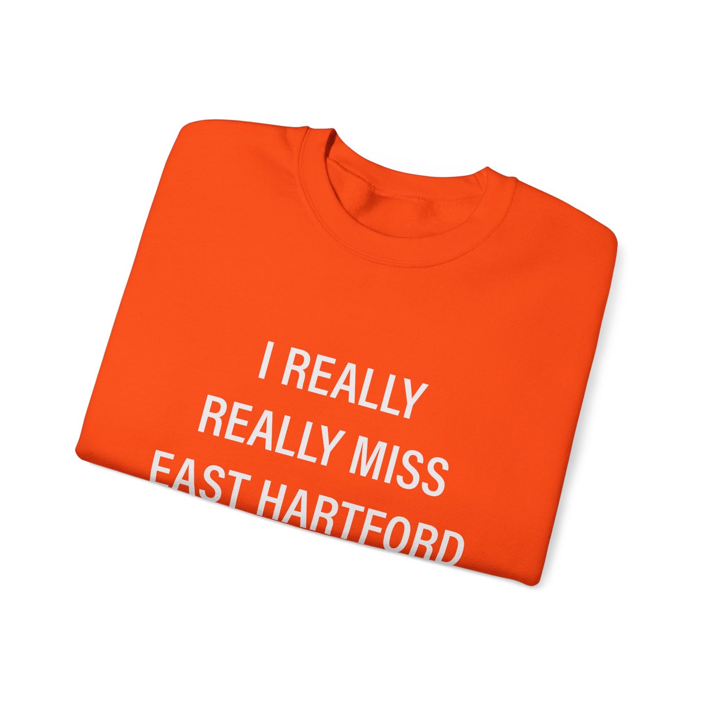 I really really miss east hartford // east hartord CT unisex sweatshirt // finding connecticut