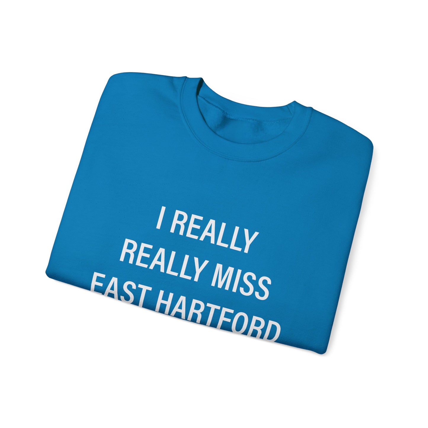 I really really miss east hartford // east hartord CT unisex sweatshirt // finding connecticut