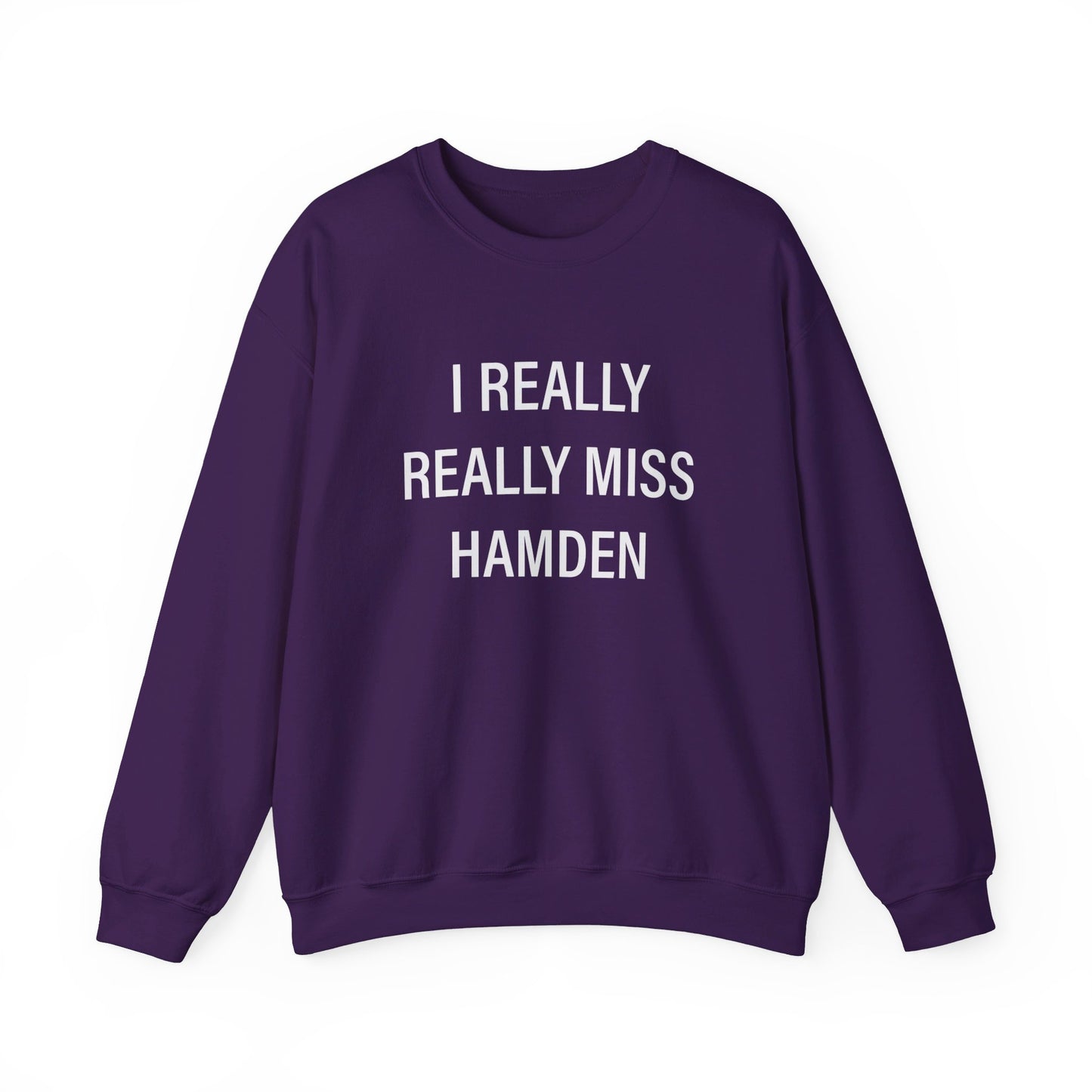 I really really miss hamden // hamden ct sweatshirts // finding connecticut