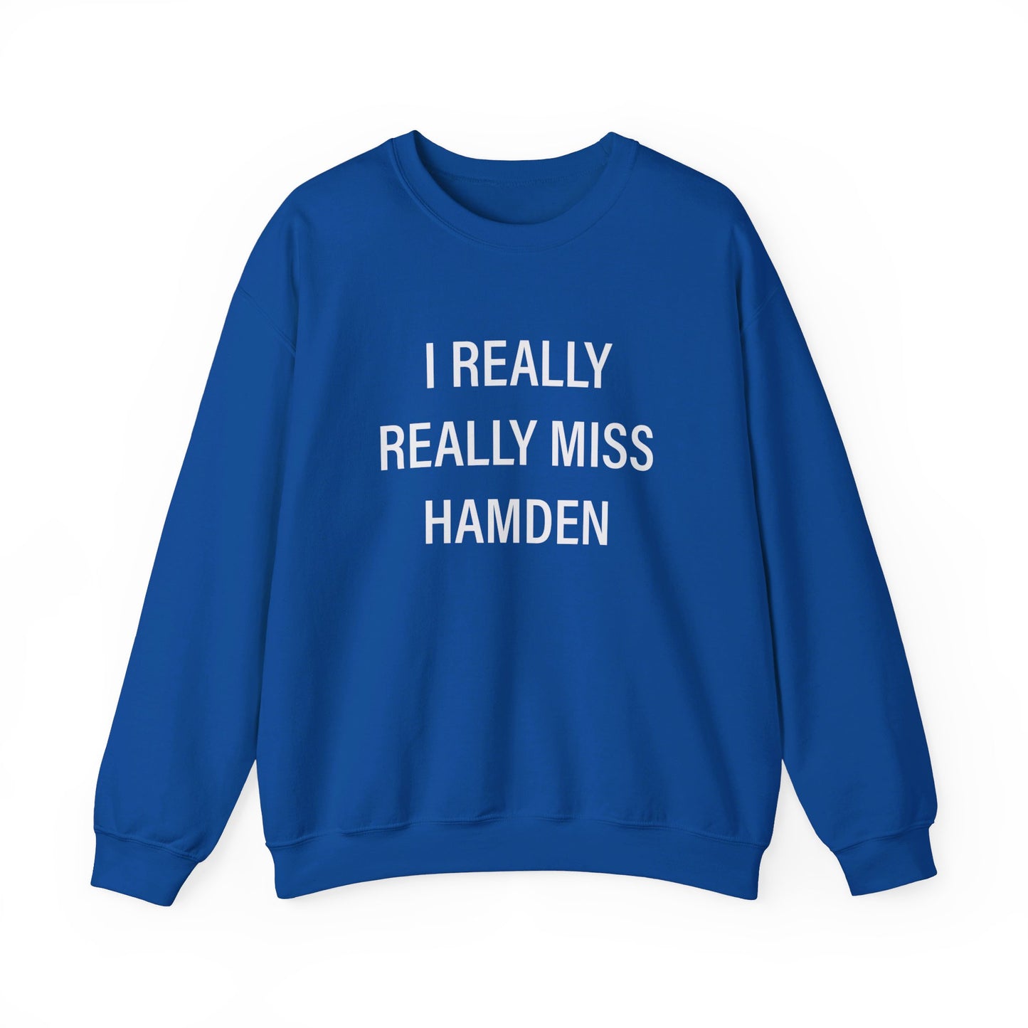 I really really miss hamden // hamden ct sweatshirts // finding connecticut