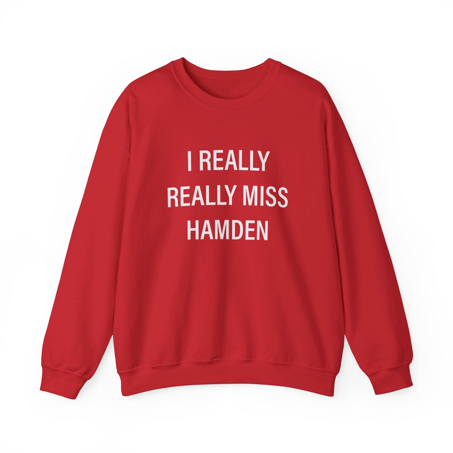 I really really miss hamden // hamden ct sweatshirts // finding connecticut