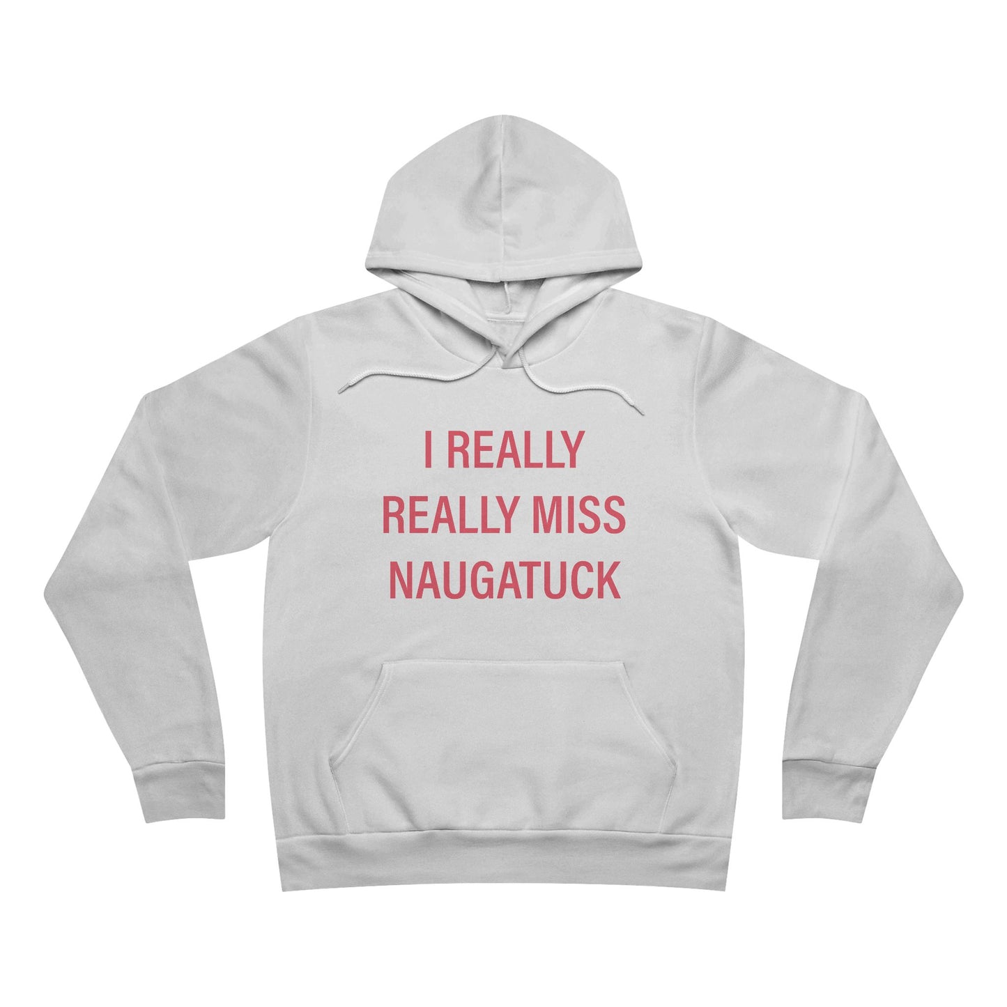 I really really miss naugatuck // naugatuck connecticut unisex hoodies // finding connecticut