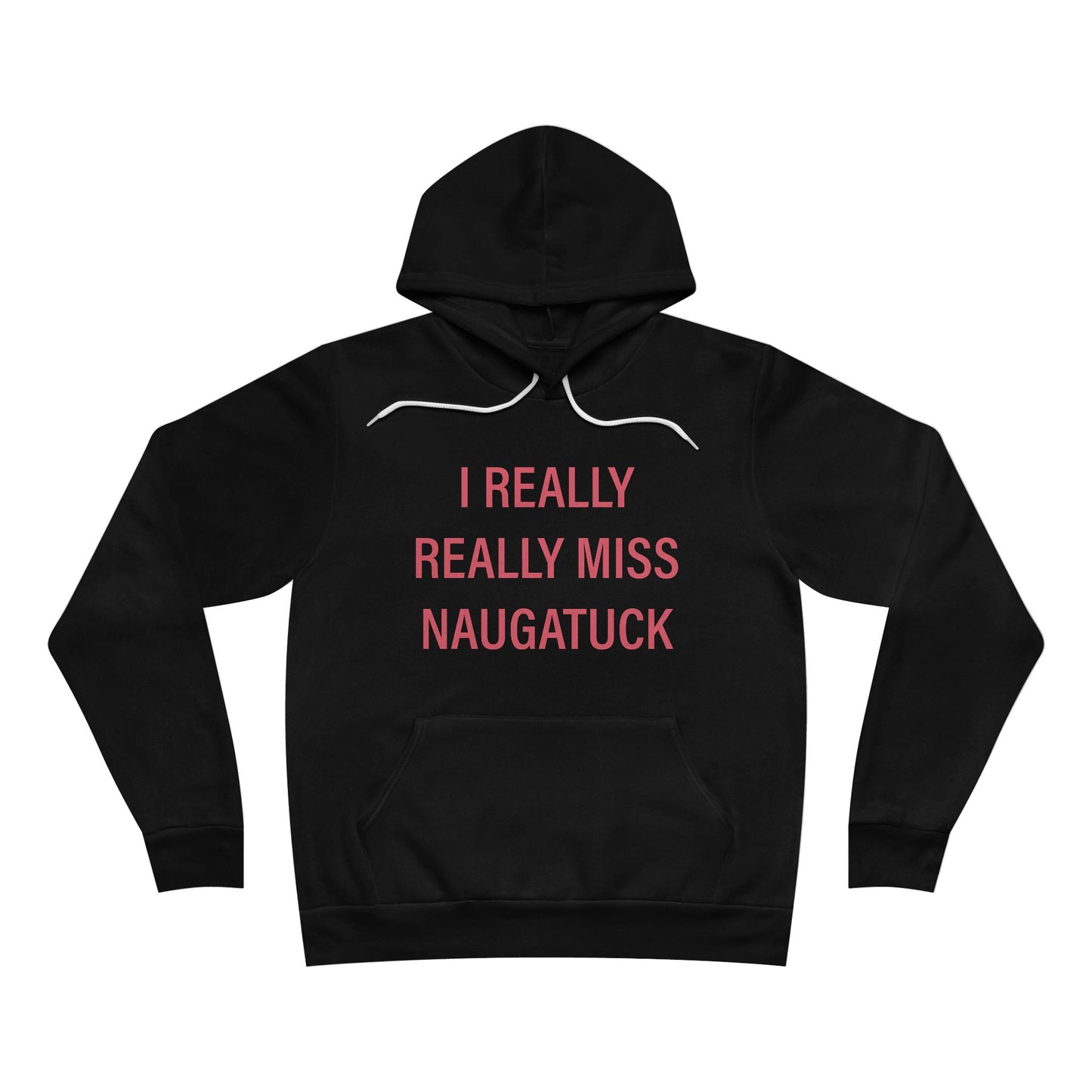 I really really miss naugatuck // naugatuck connecticut unisex hoodies // finding connecticut