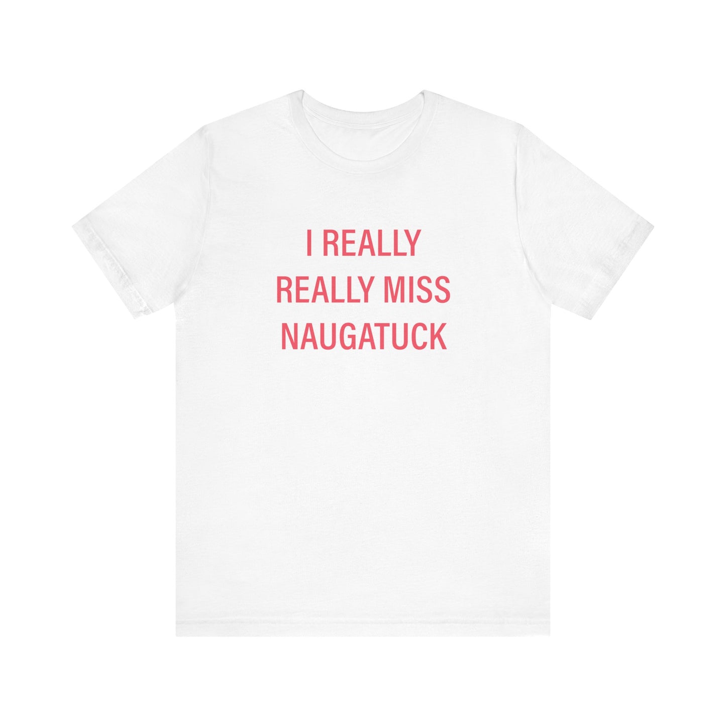 I really really miss naugatuck // naugatuck connecticut unisex t shirts // finding connecticut