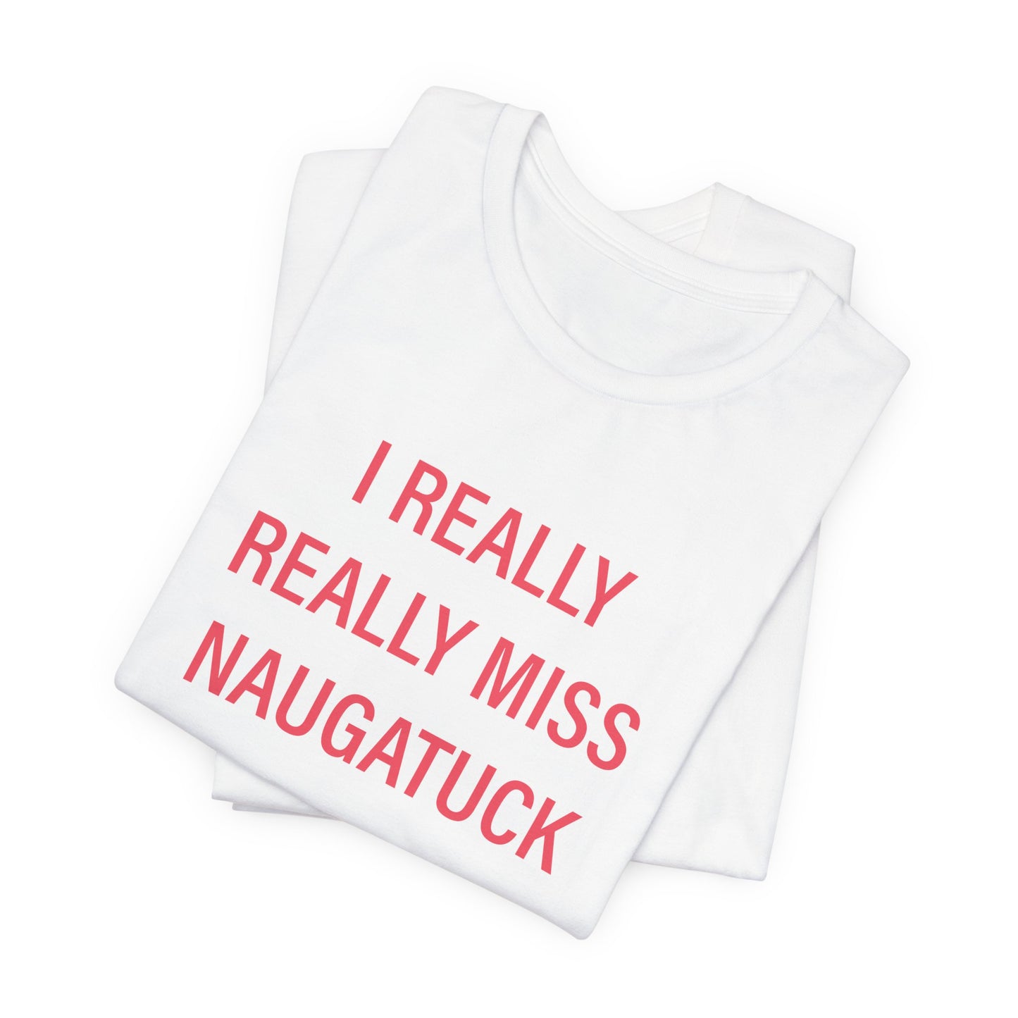 I really really miss naugatuck // naugatuck connecticut unisex t shirts // finding connecticut