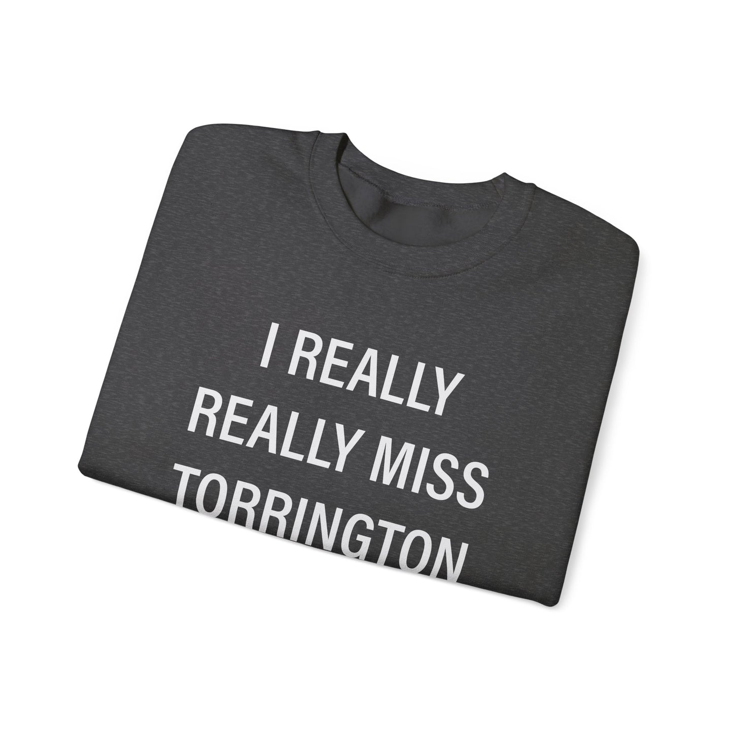 I really really miss torrington // torrington ct unisex sweatshirt // finding connecticut