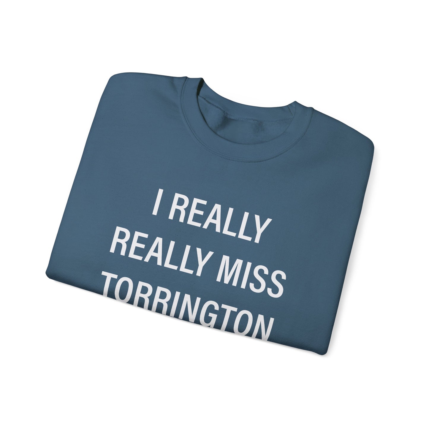 I really really miss torrington // torrington ct unisex sweatshirt // finding connecticut