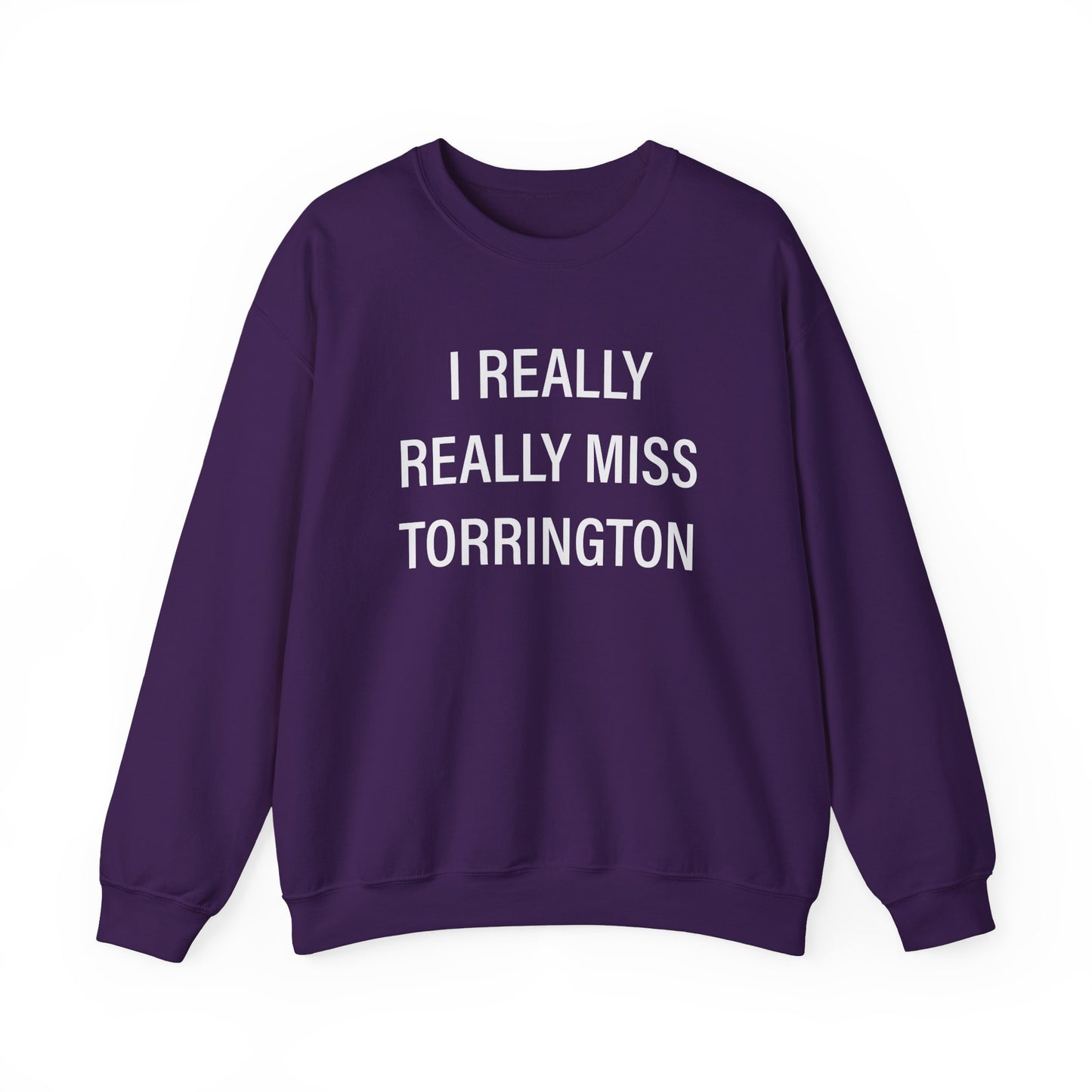 I really really miss torrington // torrington ct unisex sweatshirt // finding connecticut