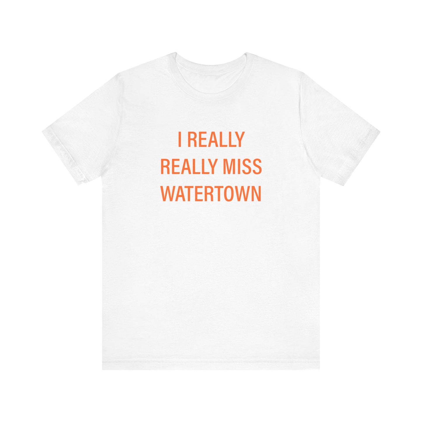 I really really miss watertown // watertown Connecticut unisex t shirt // finding connecticut