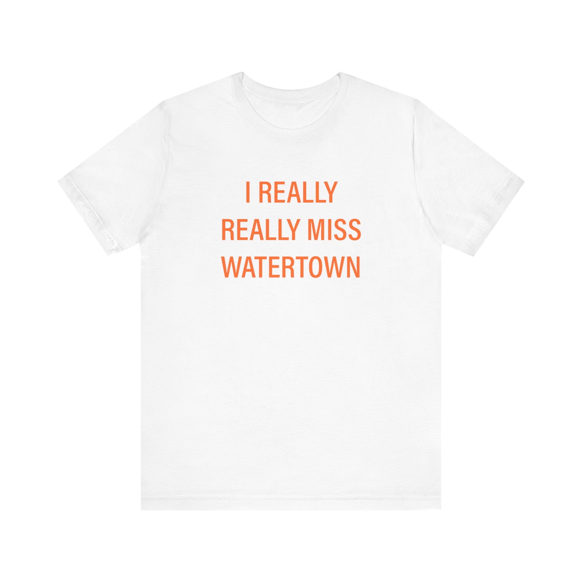 I really really miss watertown // watertown Connecticut unisex t shirt // finding connecticut