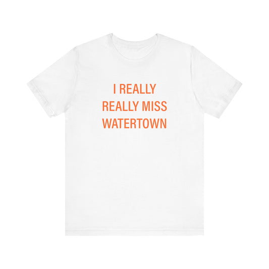 I really really miss watertown // watertown Connecticut unisex t shirt // finding connecticut