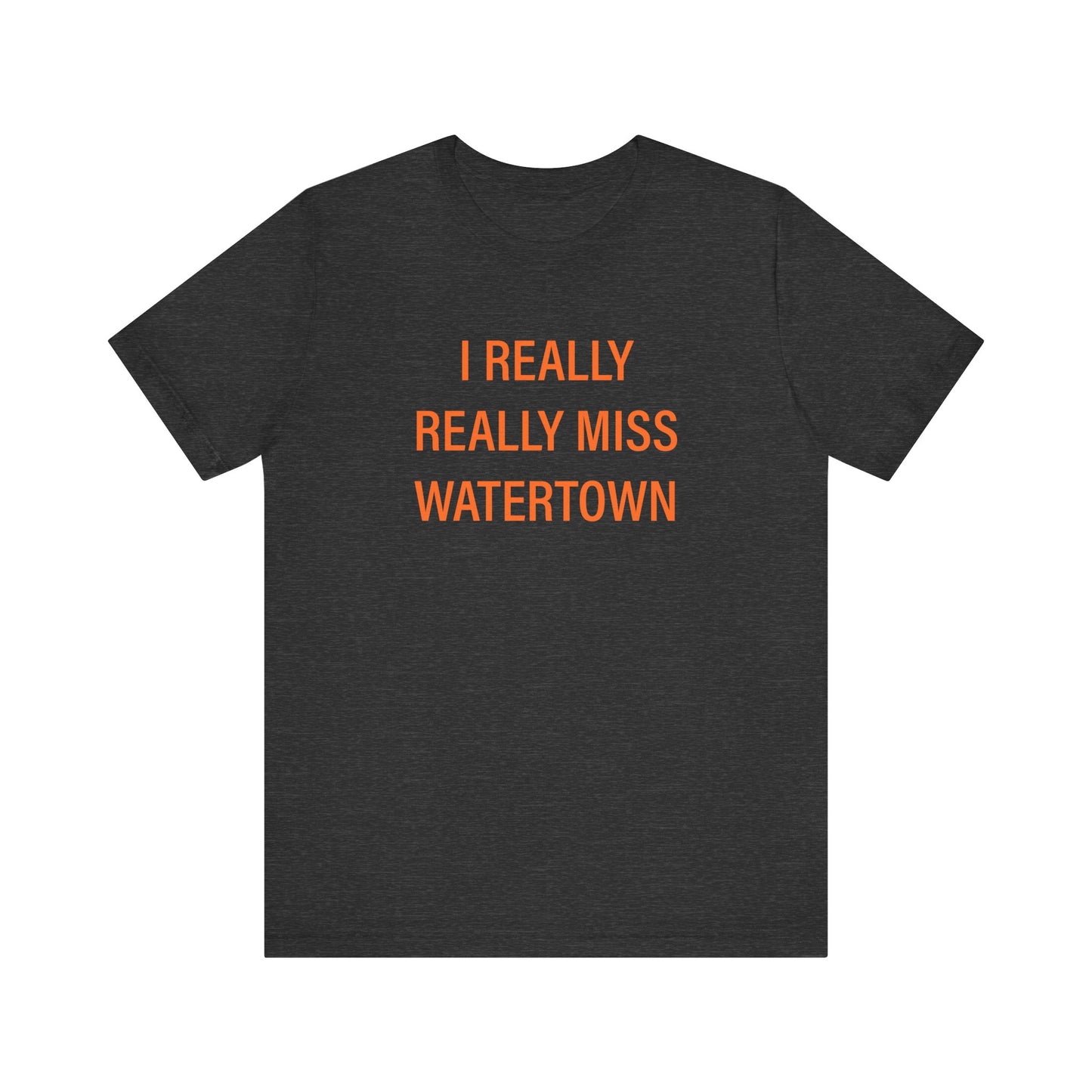 I really really miss watertown // watertown Connecticut unisex t shirt // finding connecticut