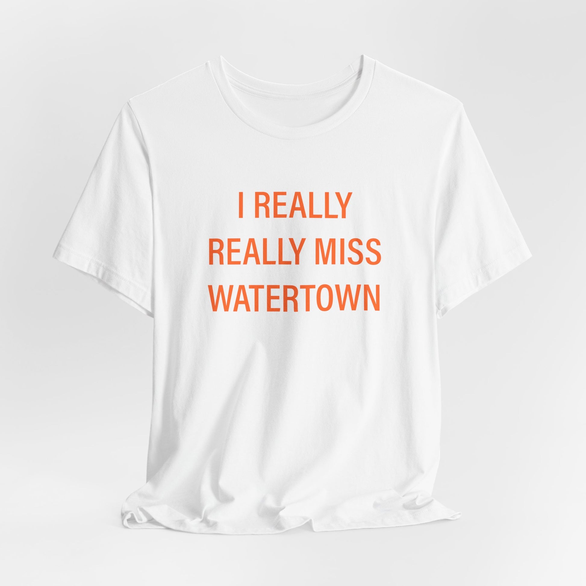 I really really miss watertown // watertown Connecticut unisex t shirt // finding connecticut