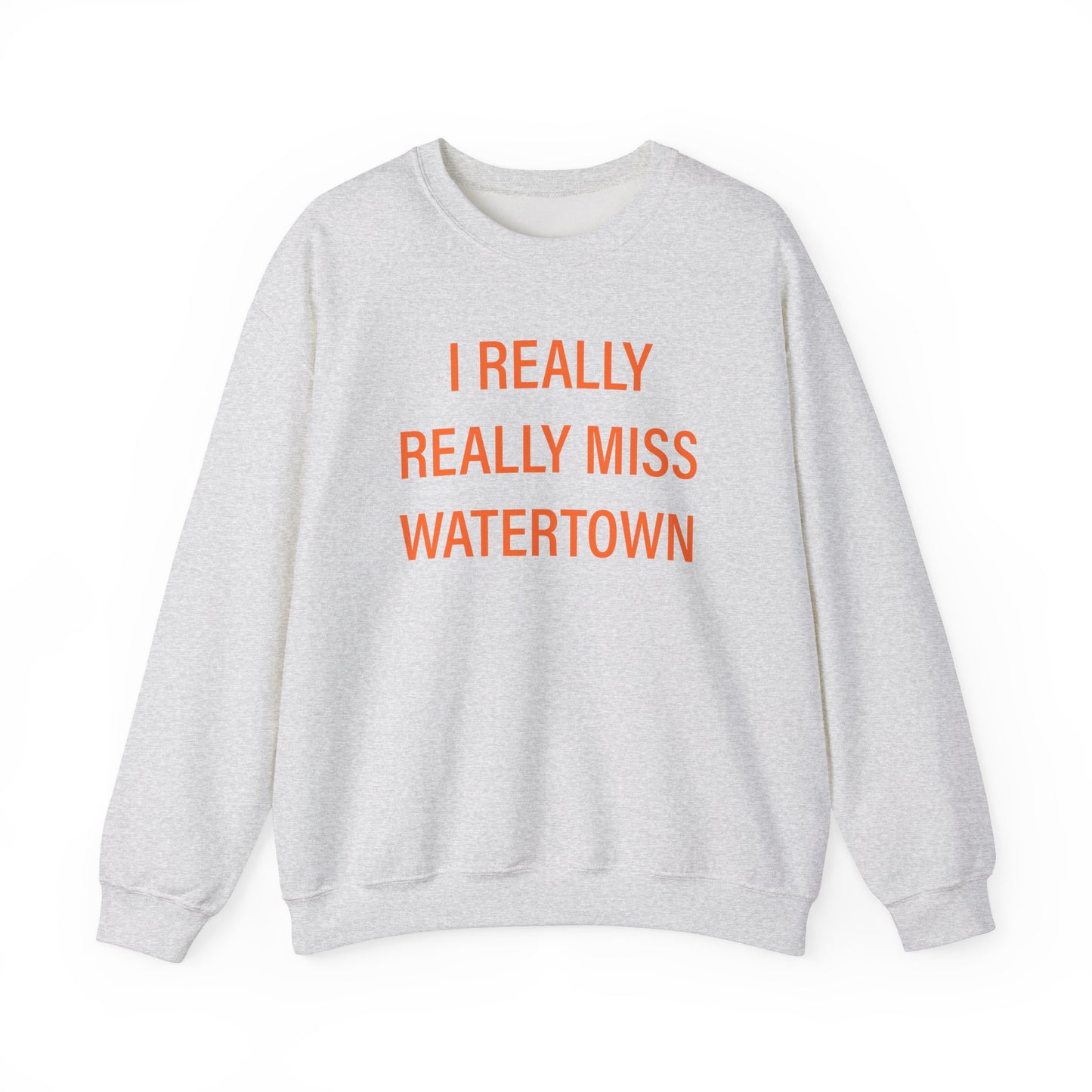 I really really miss watertown // watertown connecticut sweatshirt // finding connecticut