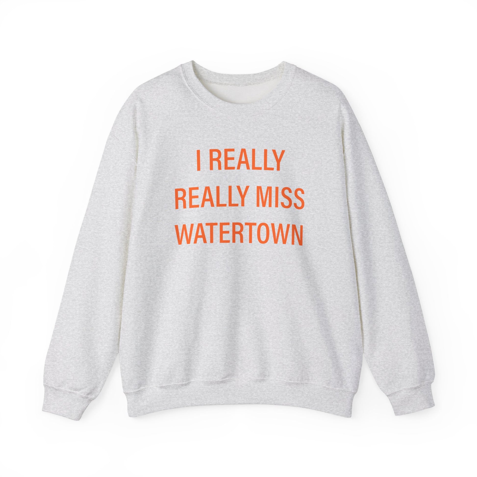 I really really miss watertown // watertown connecticut sweatshirt // finding connecticut