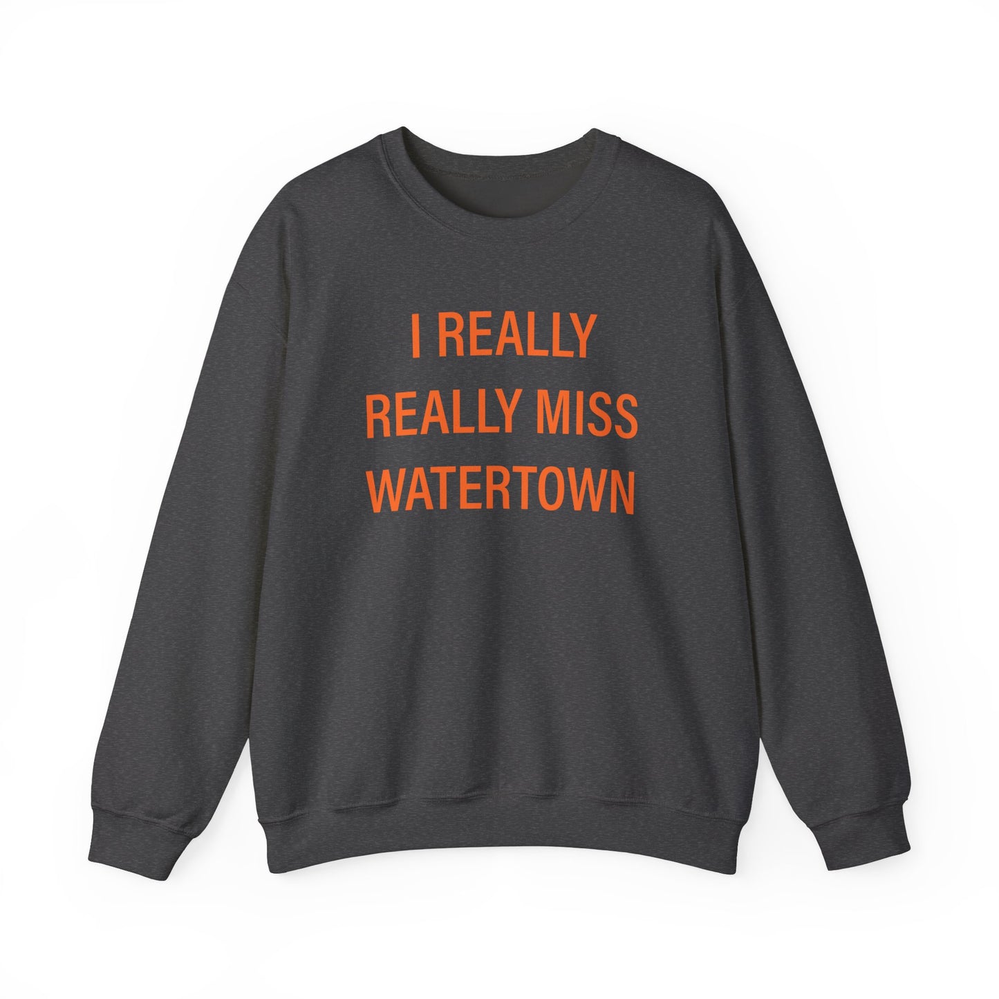 I really really miss watertown // watertown connecticut sweatshirt // finding connecticut