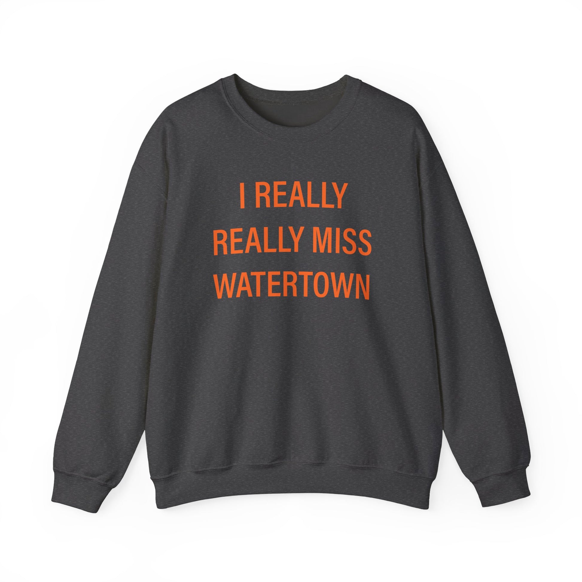 I really really miss watertown // watertown connecticut sweatshirt // finding connecticut