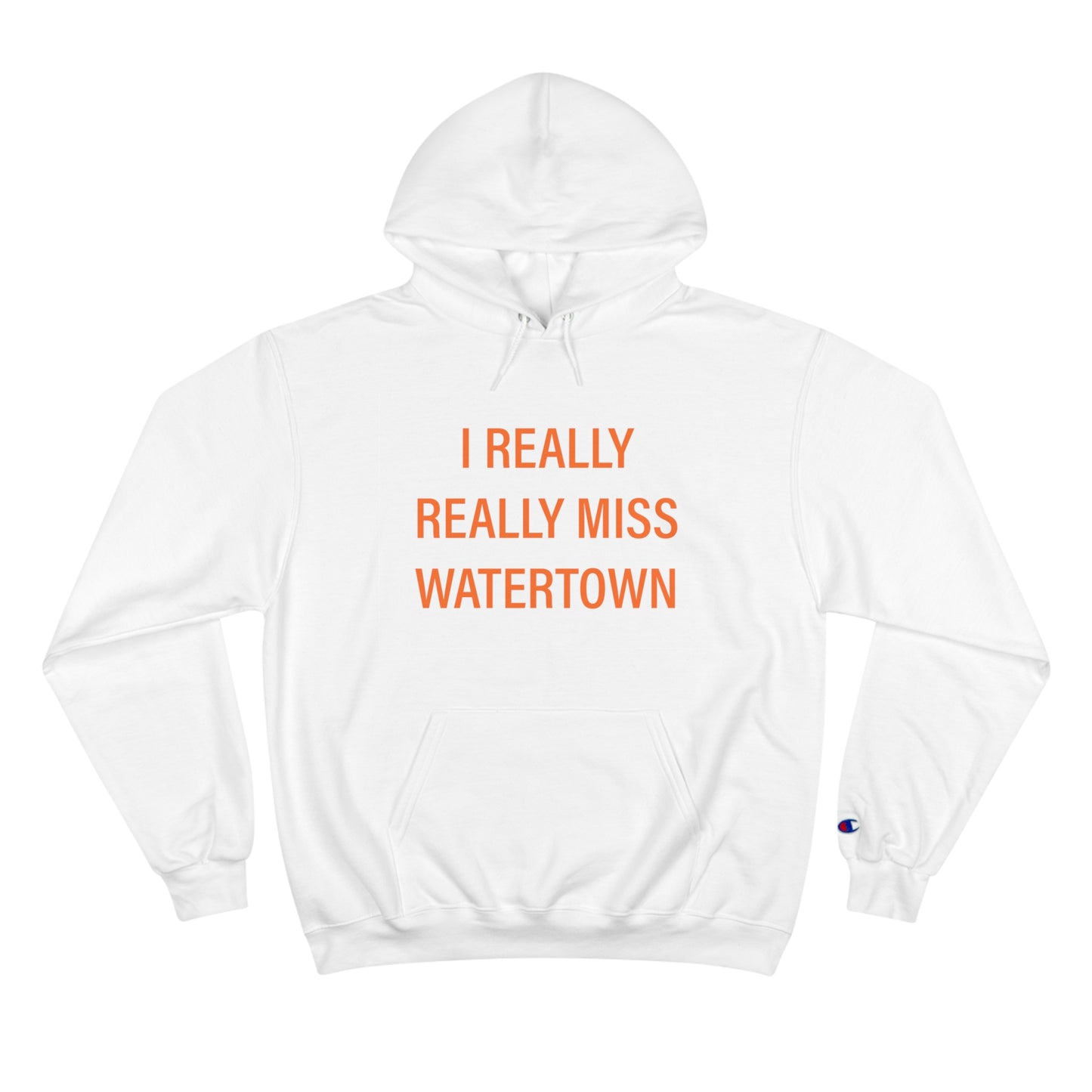 I really really miss watertown // watertown connecticut unisex hoodie sweatshirt // finding connecticut